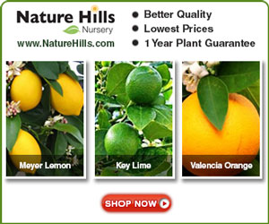 Shop for Citrus Trees at NatureHills.com